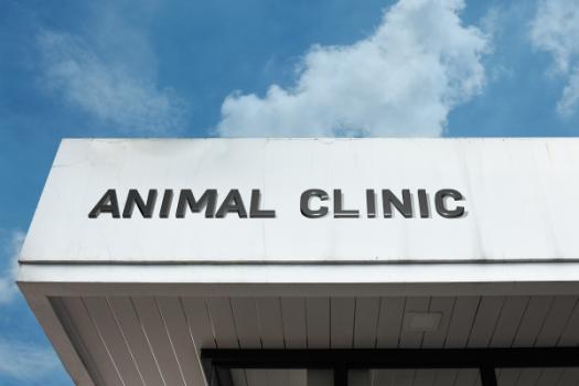 Animal clinic exterior